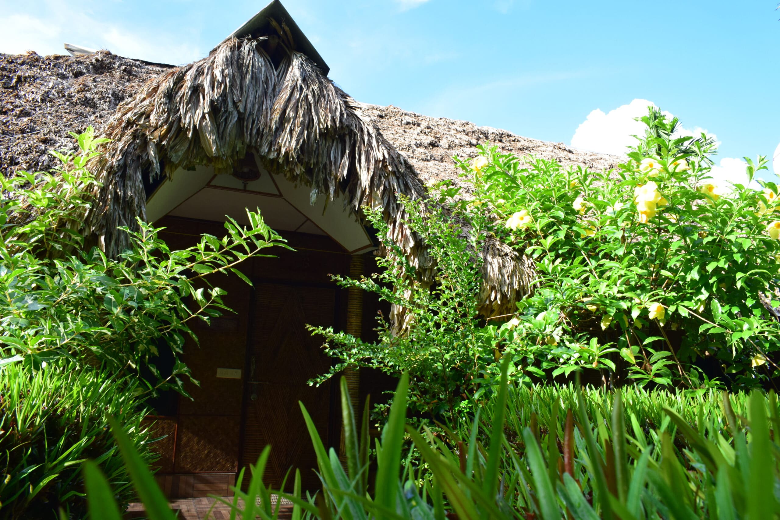 Blue Bird Resort Image 3