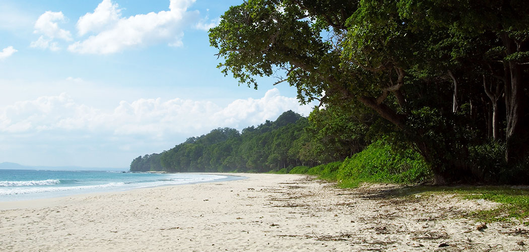 Radhanagar Beach
