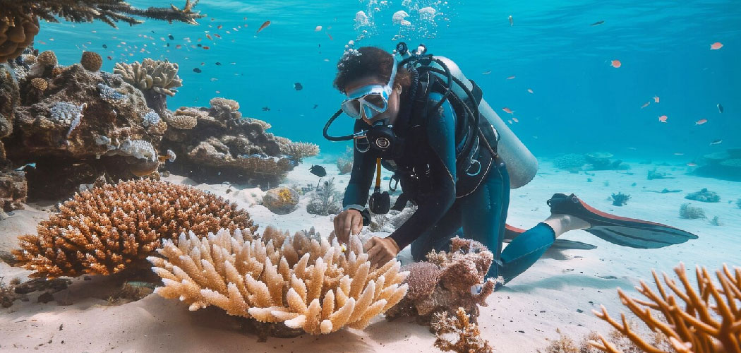 Snorkeling in Havelock