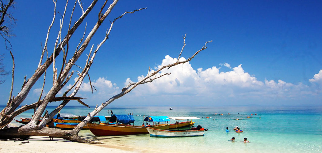 Elephant Beach