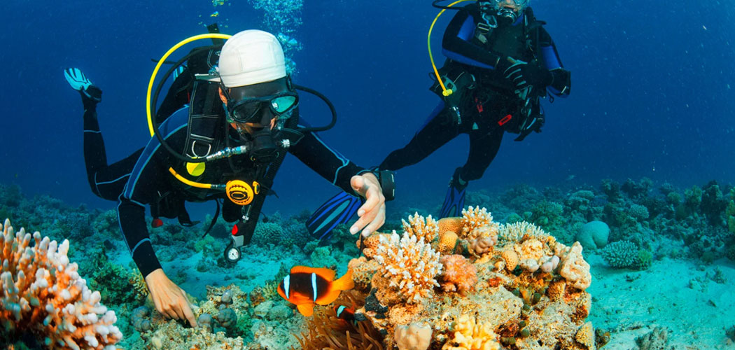 Snorkeling