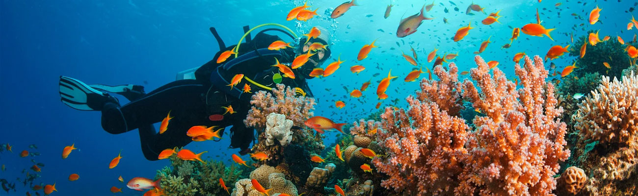 scuba-diving