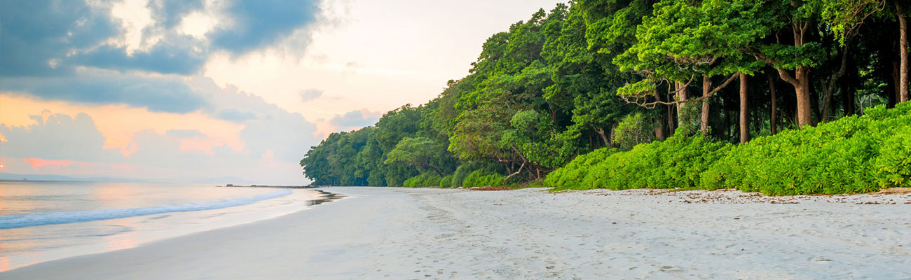 Radhanagar Beach