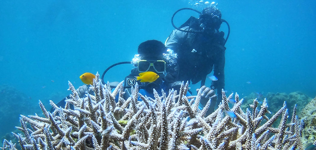 Scuba Diving in Havelock Island