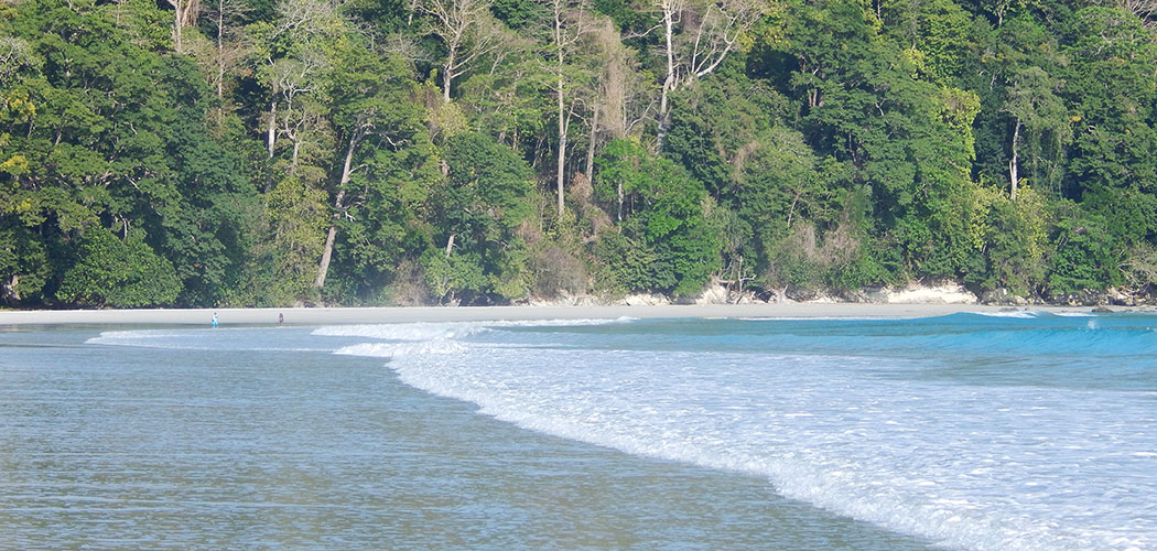 Radhanagar Beach