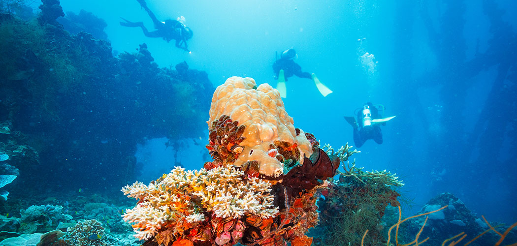 Neil Island Scuba Diving