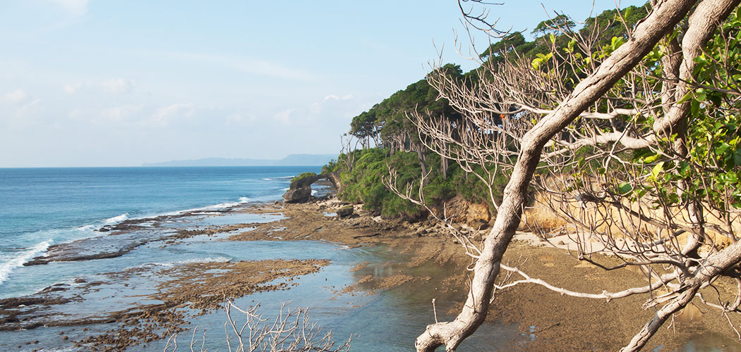 Trekking to Natural Bridge