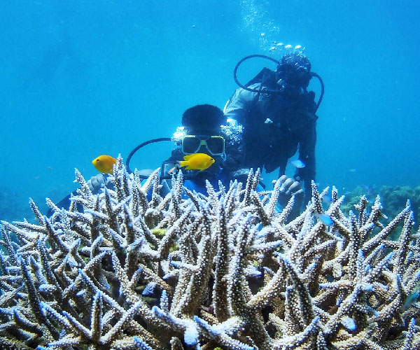 Scuba Diving