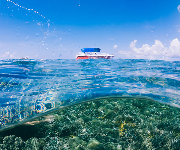 Glass Bottom Boat Ride