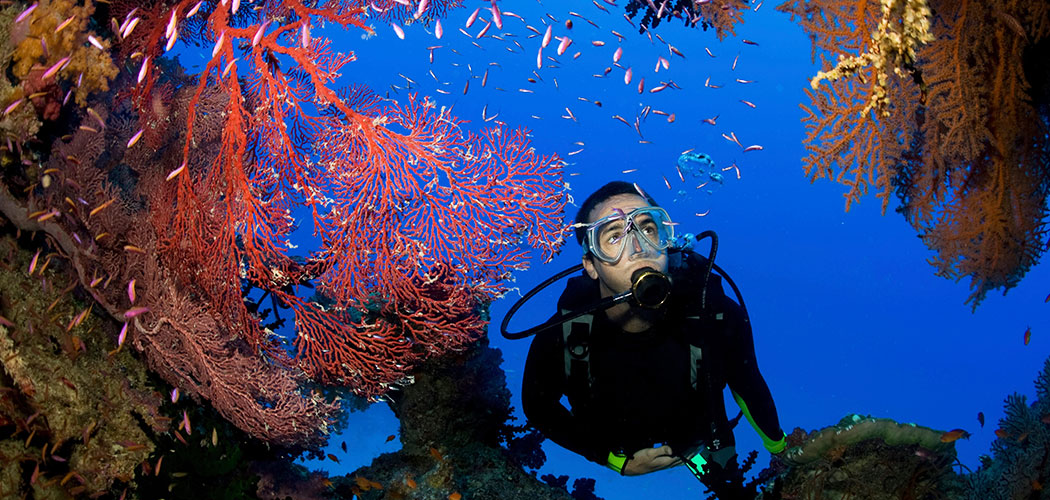 Open Water Diving